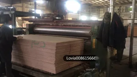 Woodworking Machine Glue Coating Machine Glue Spreader 